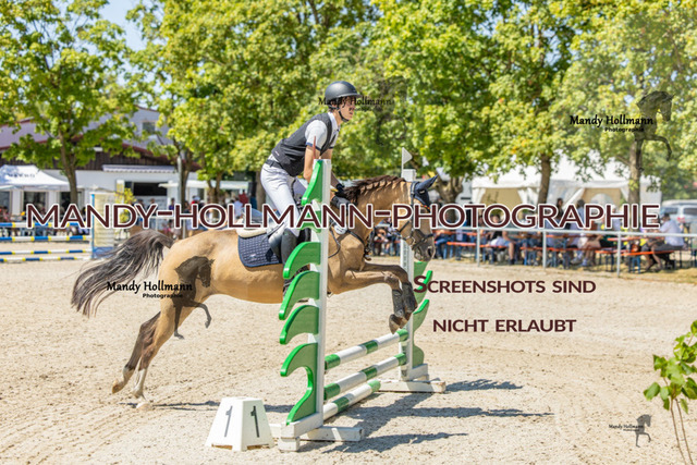 IMGL0980 | mandyhollmannphotographie