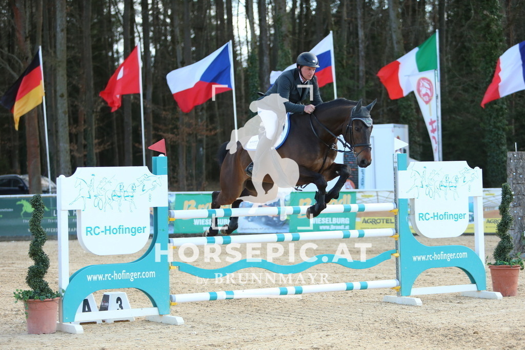 DL2Q1131 | Willkommen bei Brunnmayr - Design & Fotografie – Ihrem Spezialisten für Reitturniere und Pferdeveranstaltungen in Oberösterreich, Salzburg und Bayern! Seit über 17 Jahren sind wir leidenschaftlich dabei.