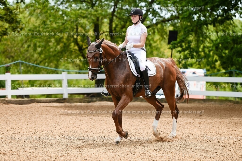 20230715_05_Dressurprüfung Kl.A++_0009 | equistock