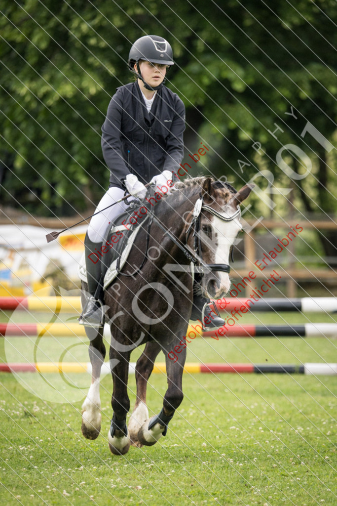 IMG_2725 | Sport-, Event- und Tierfotos in Profiqualität. Einfach auswählen, bestellen und herunterladen. Dein Moment – perfekt festgehalten.