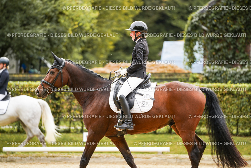 DSC02484 | Pferdegrafie