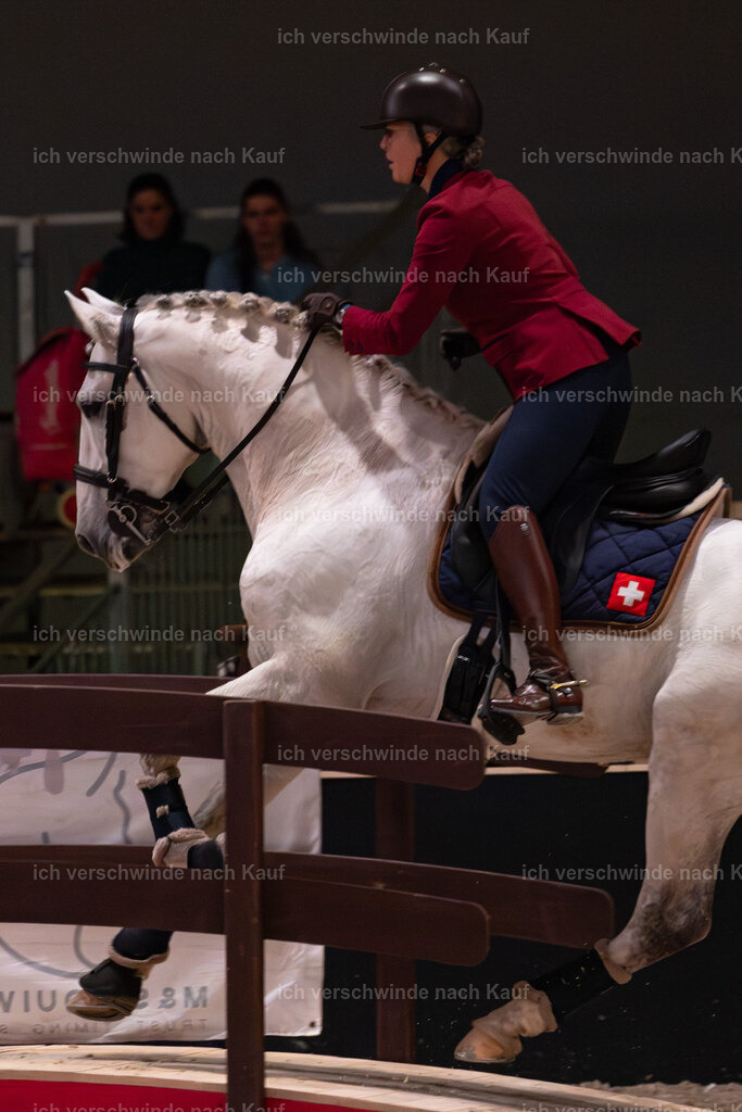 JoseraCup-166 | working equitationturnier fotograf videograf stoibphotography marixx film working equitation deutschland reitsport turnierfotografie eventfotografie equestrian events