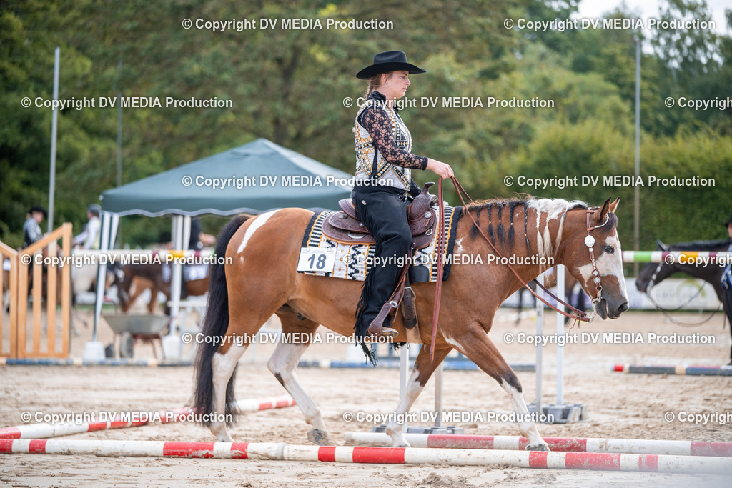 ZS3_4744 | dv-media-shop - Realisiert mit Pictrs.com