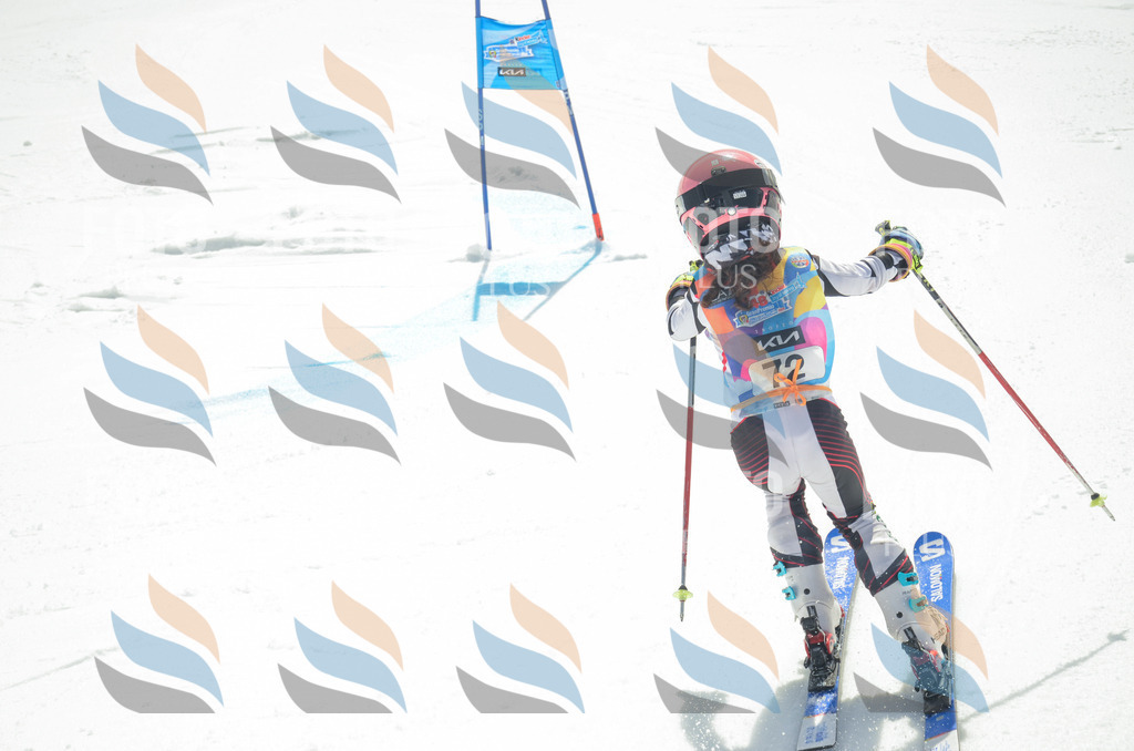 _ELE5450 | holidayphoto