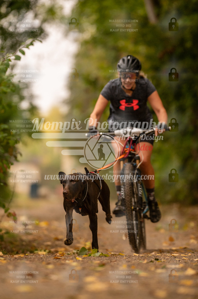 CDLBDB_14_10_2023_Samedi-95 | PayLife