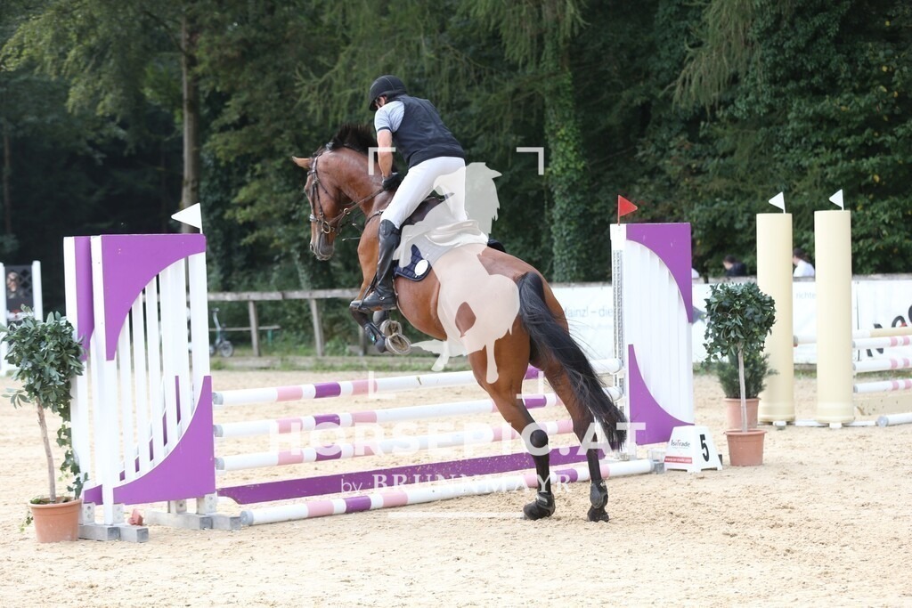 DL2Q9463 | Willkommen bei Brunnmayr - Design & Fotografie – Ihrem Spezialisten für Reitturniere und Pferdeveranstaltungen in Oberösterreich, Salzburg und Bayern! Seit über 17 Jahren sind wir leidenschaftlich dabei.