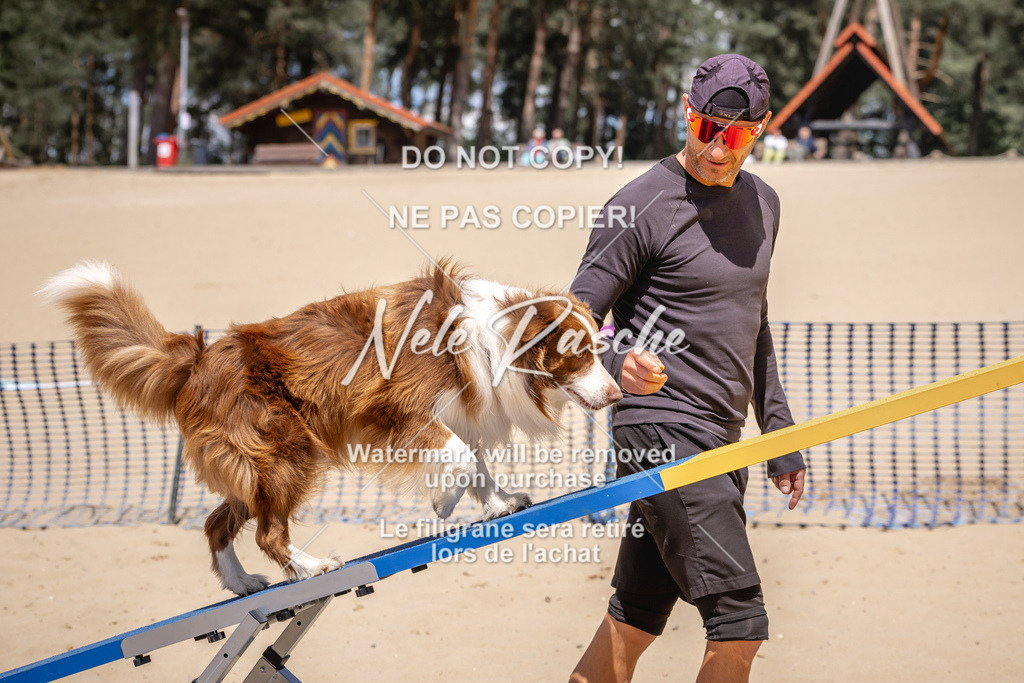 NR__2596 | nelerasche