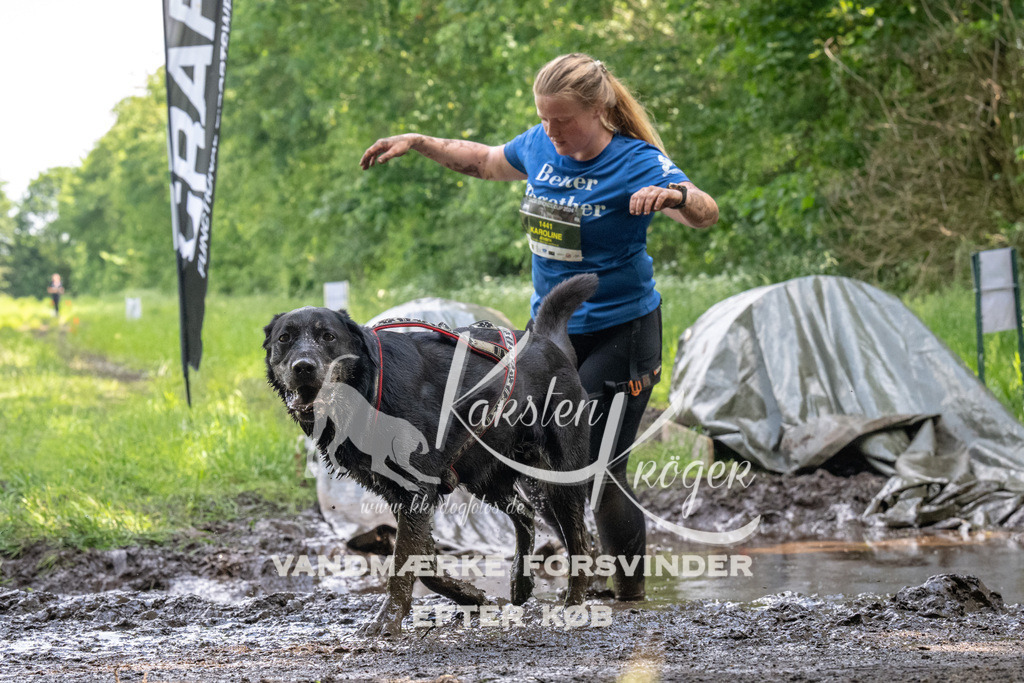 1312_ZZ90548 | kk-dogfotos