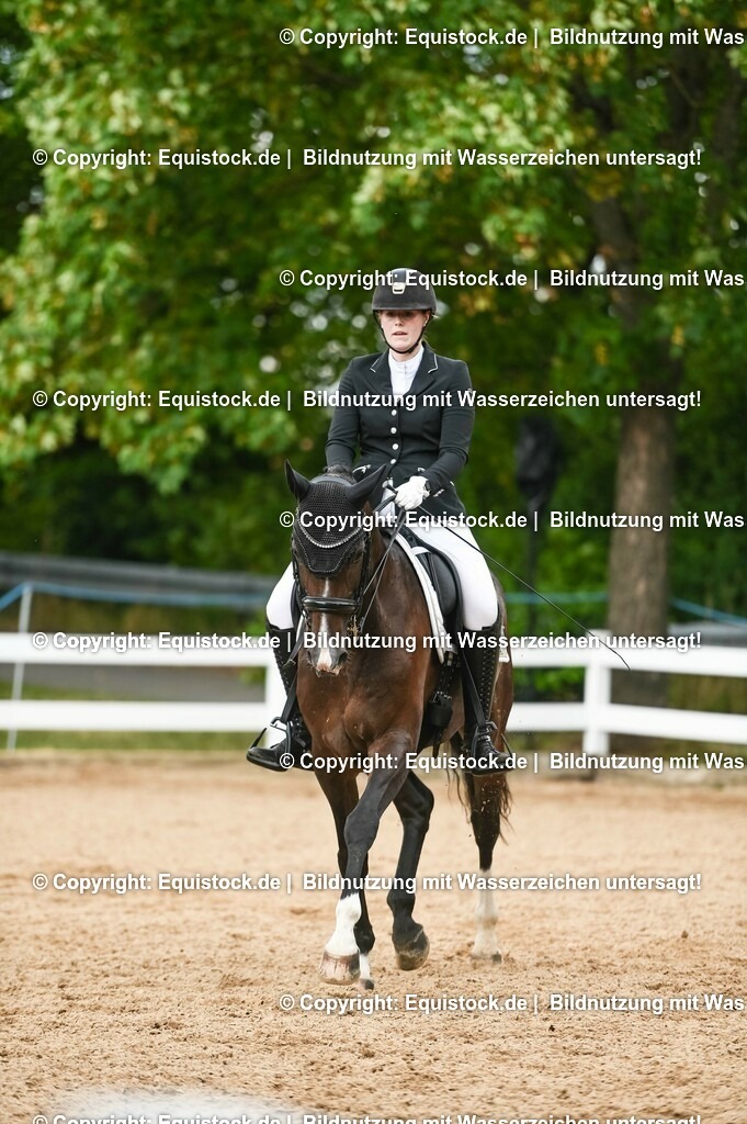 20230716_01_Dressurprüfung Kl.M_0512 | equistock
