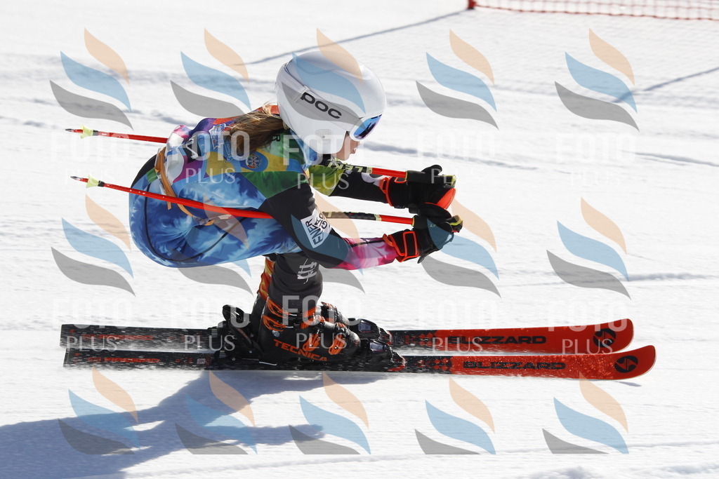 _U3G8618 | holidayphoto