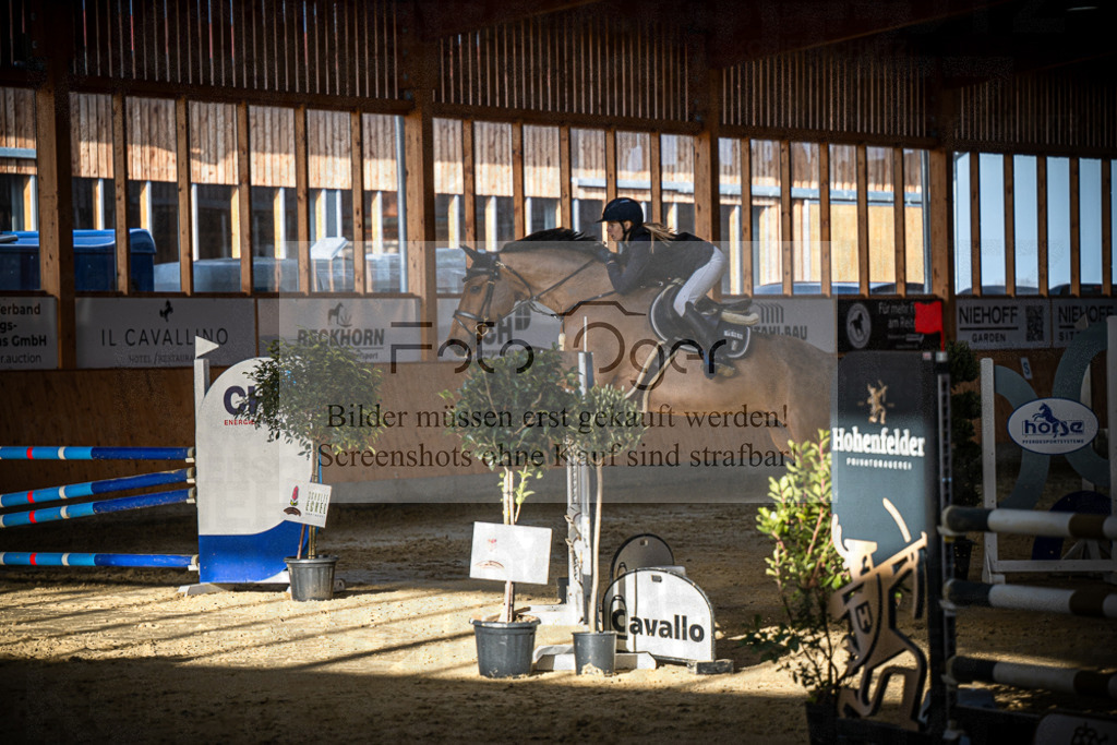 DOS_0822 | Entdecke hochwertige Reitturnierfotos von Foto Oger. Professionell, emotional und authentisch – jetzt Lieblingsmomente im Shop bestellen.Deutschlandweite Turnierfotografie. - Realisiert mit Pictrs.com