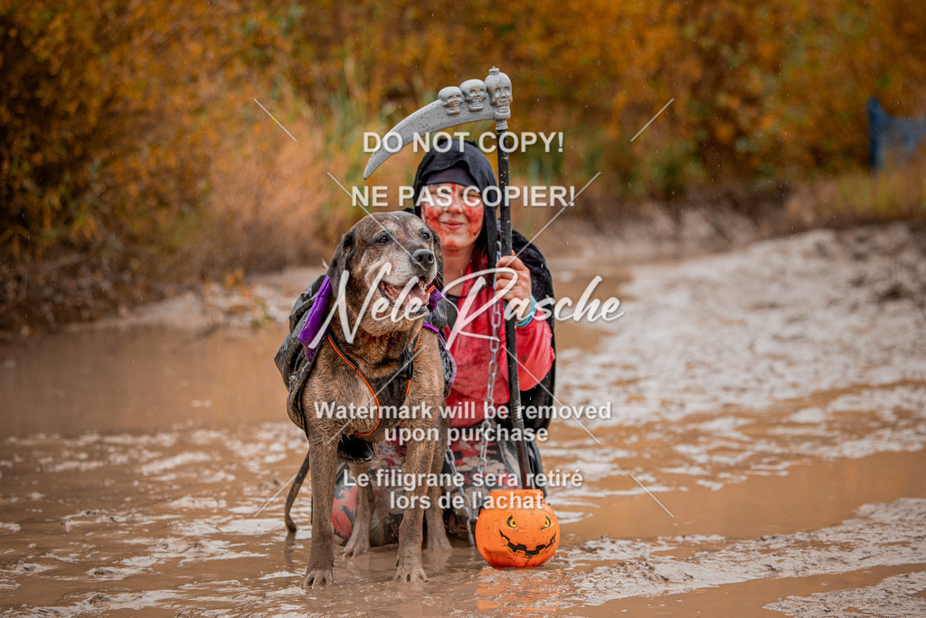 nelerasche_Creepy2025_Sa1300-1330_131 | nelerasche