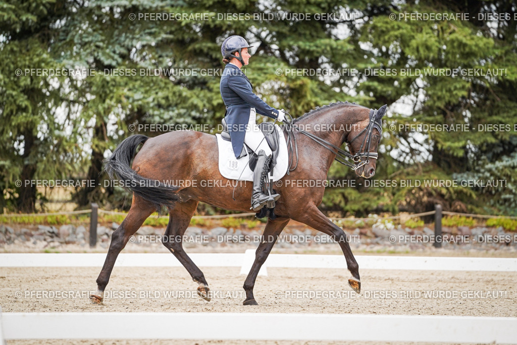 DSC07363 | Pferdegrafie