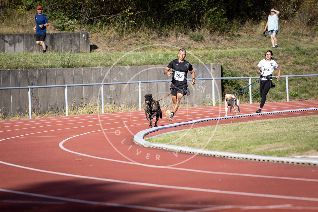 Pfotenfotografie_DV3A9838 | Hundefotografie, Tierfotograf, Pfotenfotografie, Fotoshooting Hund, Hunde Portrait, Hundesport, Hundeportraits, Heideshooting, Hunde, Sportfotograf, Hundefotograf, Turnierhundsport, THS,  - Realisiert mit Pictrs.com