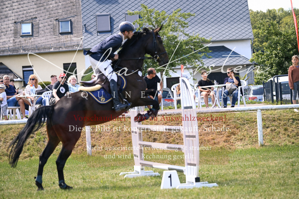 DSC_0152 | Pferde- und Turnierfotografie in Westsachsen. Pferdeportraits, Auftragszeichnungen und intuitive Kunst.