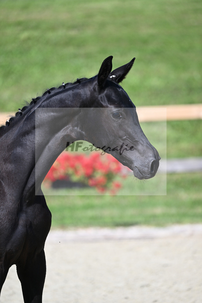 Kat-Nr. 5 HF Le Formidable x Fabriano_Kaimadl_28230076 | hf-fotografie - Realizzato con Pictrs.com