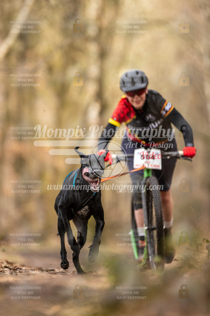 SPA_2023_SAM_Scooter-7 | PayLife