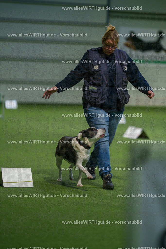 7R504766 | Professionelle Tierfotografie in Mönchengladbach von Daniel Wirth (allesWIRTHgut). Liebevolle & natürliche Bilder von Hunden & Katzen für unvergessliche Erinnerungen.