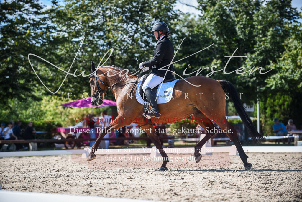 DSC_9633 | Pferde- und Turnierfotografie in Westsachsen. Pferdeportraits, Auftragszeichnungen und intuitive Kunst.