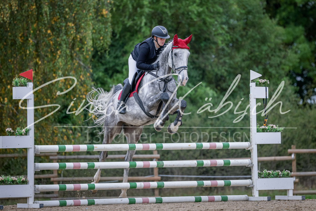 20251012-_3LI3661 | Tierfotografie Pferde, Hunde, Katzen, Haustiere.
Turnierfotografie Reitturniere, Reiten, Springreiten, Dressur in Hanau, dem Main-Kinzig-Kreis und dem Rhein-Main- Gebiet um Frankfurt
