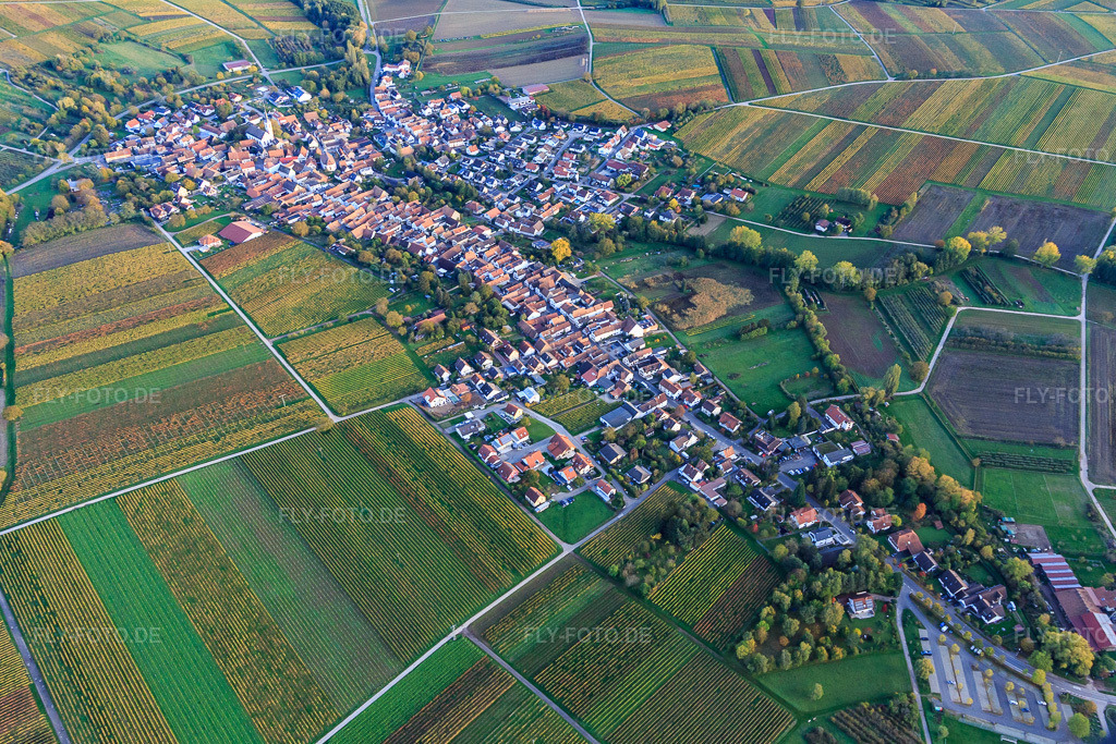 Luftbild: Ortsansicht von Nordwesten in Göcklingen im Bundesland Rheinland-Pfalz in Deutschland. Foto: IMG_135134.jpg vom 22.10.2022 durch Werner Riehm/FLY-FOTO.de