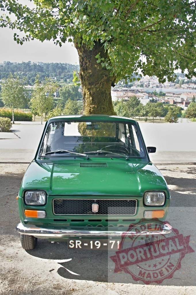 Green Fiat 127 parking near a tree with a city in the background | Classic green Fiat 127 parked near a tree, overlooking a city in the background, enjoying a peaceful moment - Realisiert mit Pictrs.com