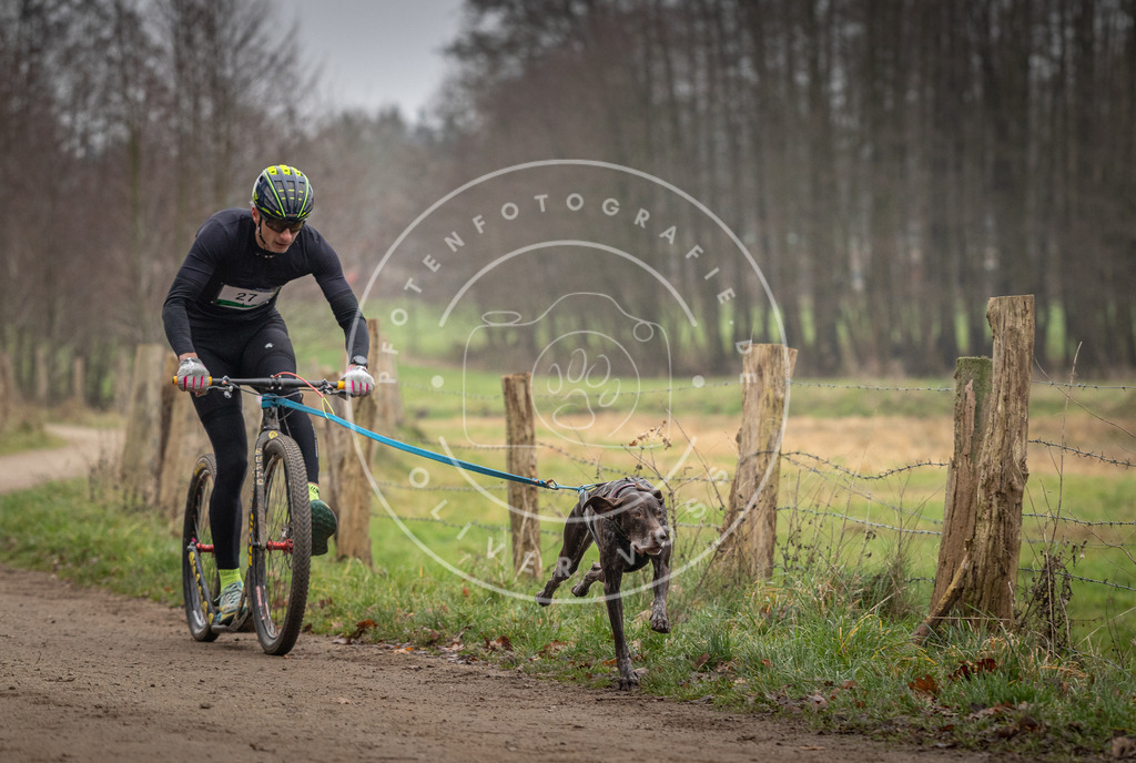 Pfotenfotografie_DV3A2163 | Hundefotografie, Tierfotograf, Pfotenfotografie, Fotoshooting Hund, Hunde Portrait, Hundesport, Hundeportraits, Heideshooting, Hunde, Sportfotograf, Hundefotograf, Turnierhundsport, THS,  - Realisiert mit Pictrs.com