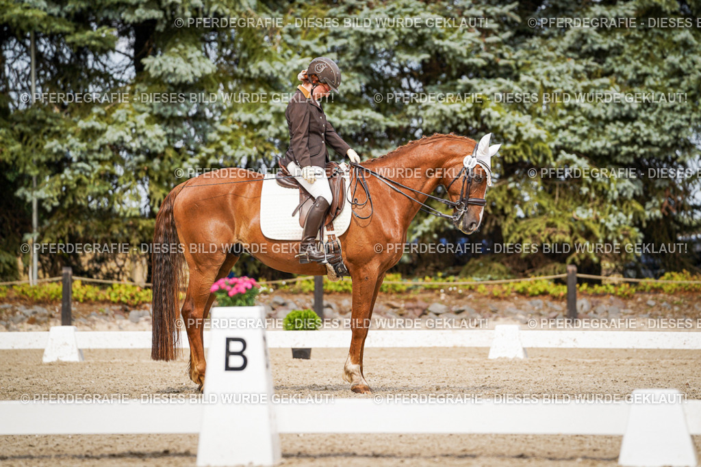 DSC06004 | Pferdegrafie