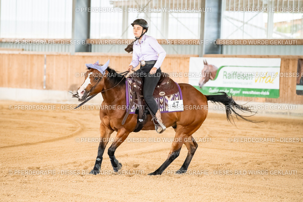 DSC01973 | Pferdegrafie