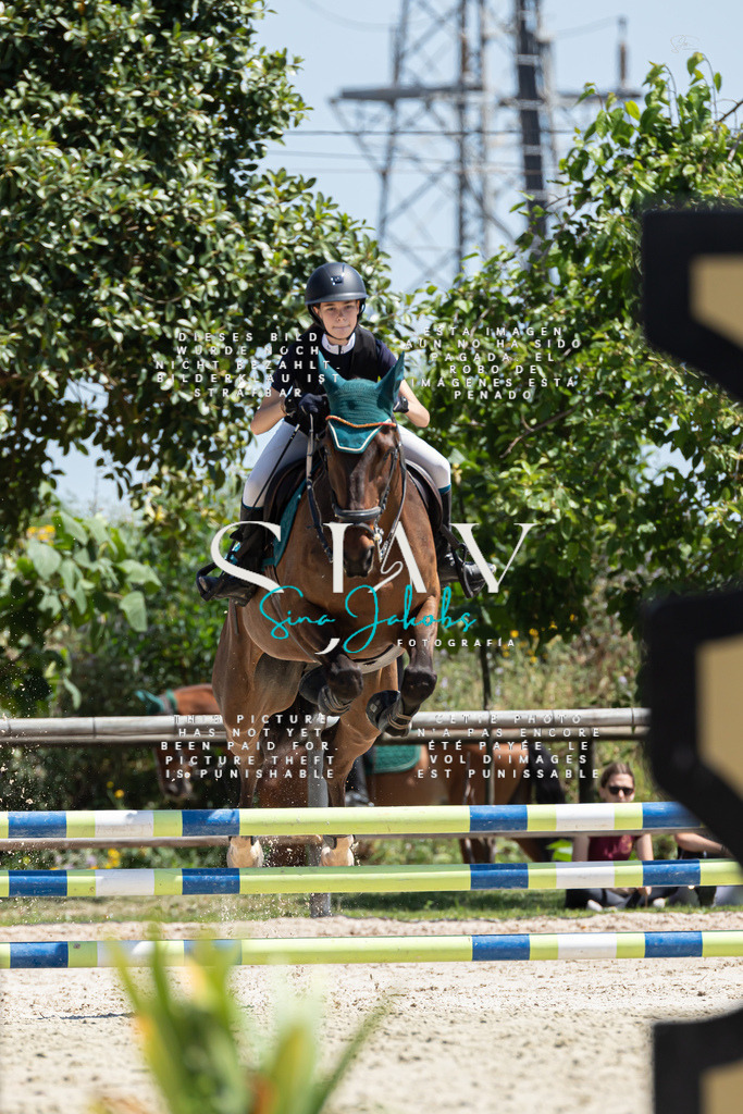 IMG_0495 | s-jay-photography - Realisiert mit Pictrs.com