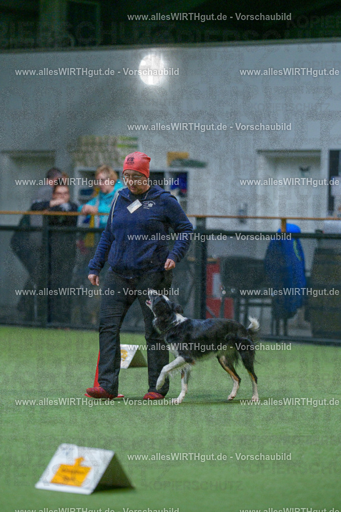 7R502733 | Professionelle Tierfotografie in Mönchengladbach von Daniel Wirth (allesWIRTHgut). Liebevolle & natürliche Bilder von Hunden & Katzen für unvergessliche Erinnerungen.