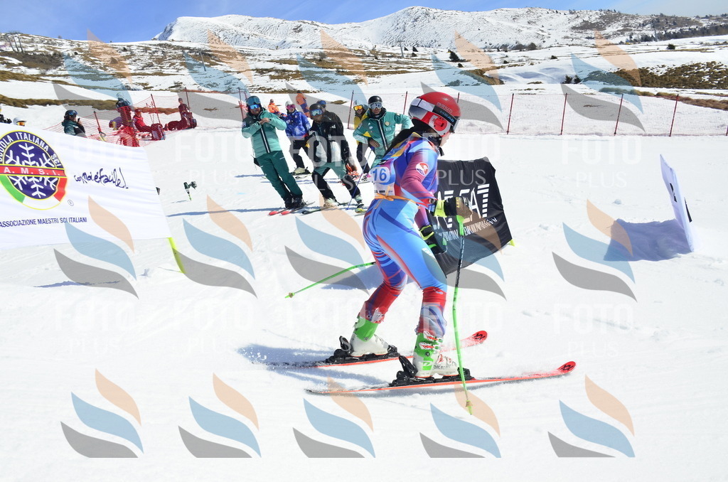 _ELE0696 | holidayphoto