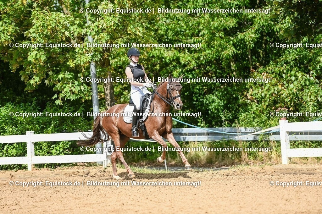 20230716_01_Dressurprüfung Kl.M_0340 | equistock