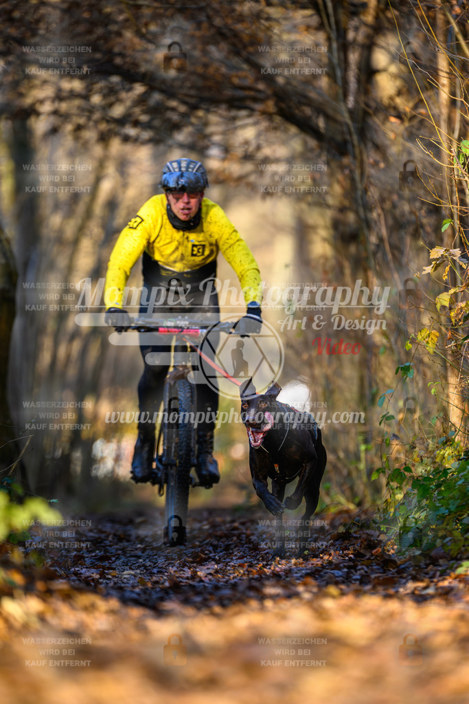 MompixPhotography_Eschau2024_Bike-3 | PayLife