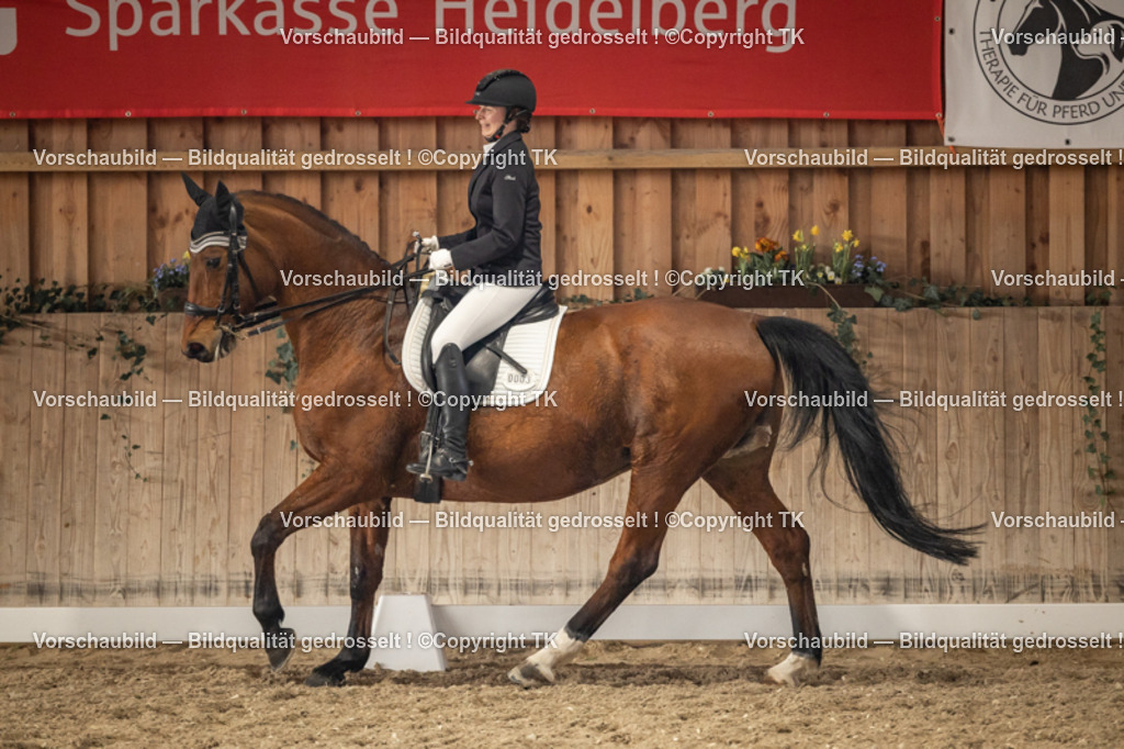 _D5A9390 | Emotionale Pferde- & People-Fotografie rund um Heidelberg, Leimen & Umgebung. Natürliche Fotos von Pferd, Mensch & Familie. Jetzt Termin sichern!