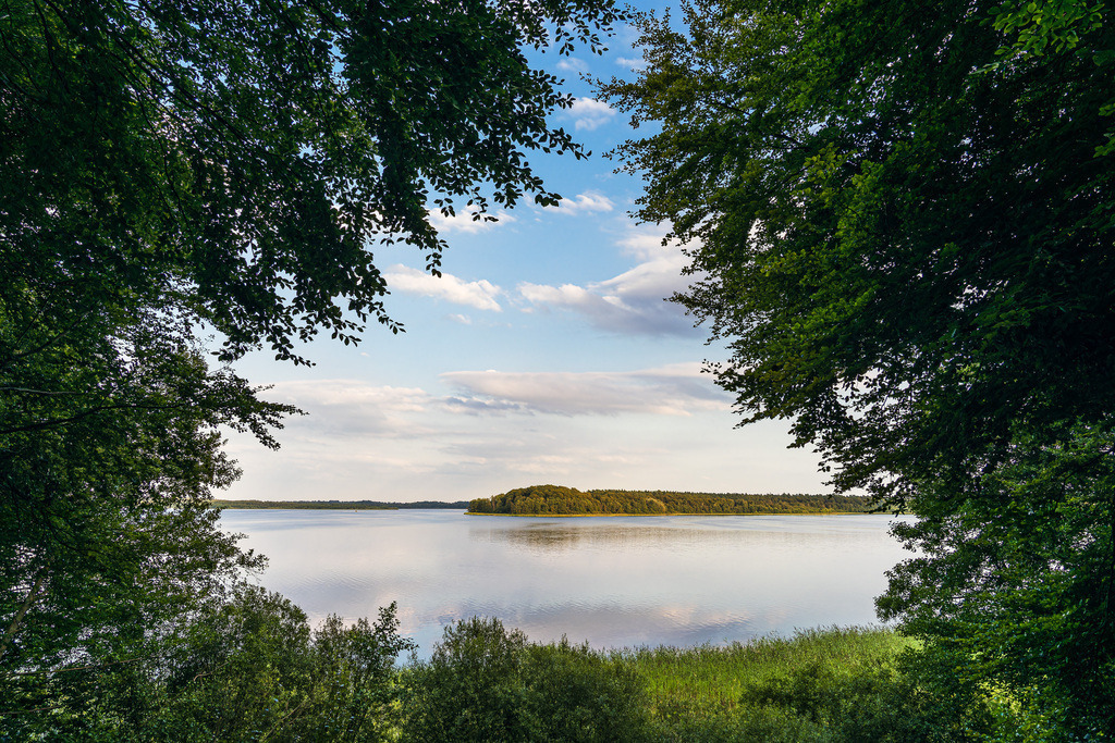 Seeblick mit Bäumen in Seedorf am Schaalsee | Seeblick mit Bäumen in Seedorf am Schaalsee.