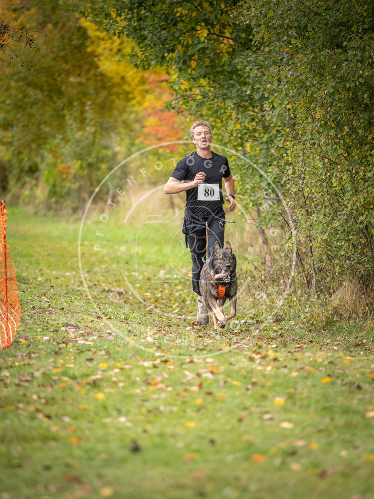 Pfotenfotografie_DV3A3012 | Hundefotografie, Tierfotograf, Pfotenfotografie, Fotoshooting Hund, Hunde Portrait, Hundesport, Hundeportraits, Heideshooting, Hunde, Sportfotograf, Hundefotograf, Turnierhundsport, THS,  - Realisiert mit Pictrs.com