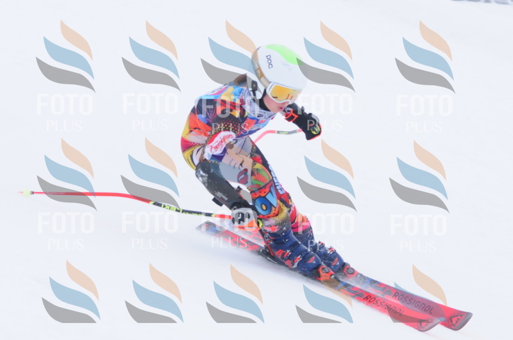 C3476 | holidayphoto