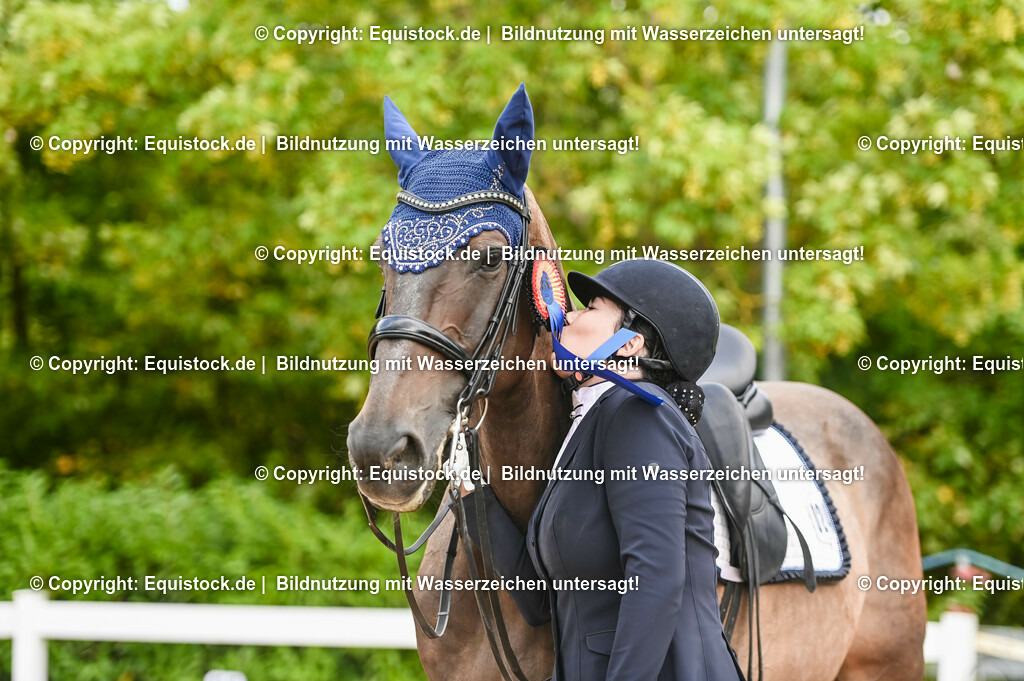 20230716_01_Dressurprüfung Kl.M_0765 | equistock