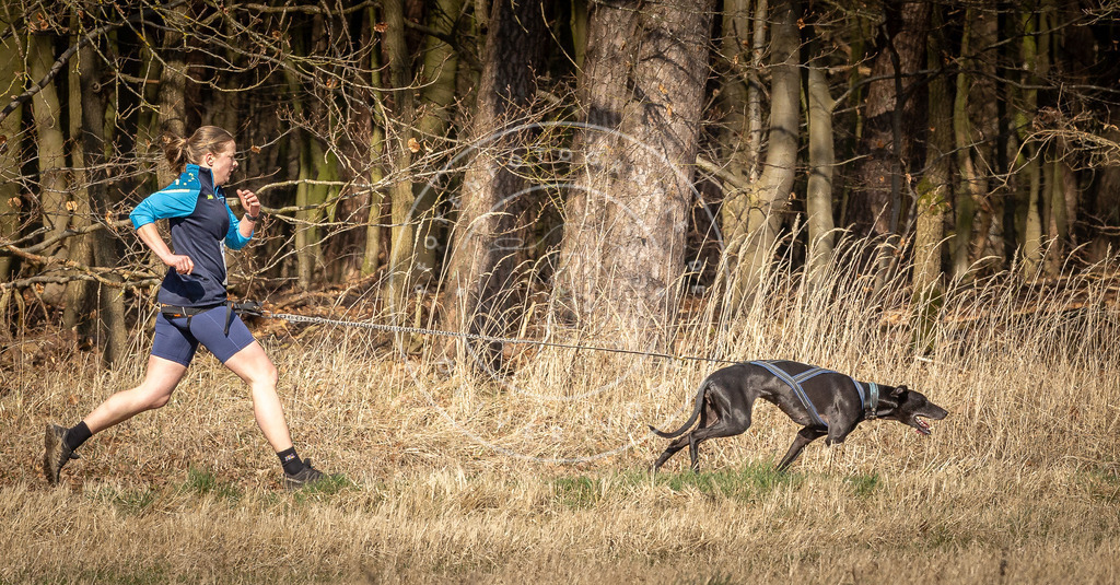 DV3A5732 | Hundefotografie, Tierfotograf, Pfotenfotografie, Fotoshooting Hund, Hunde Portrait, Hundesport, Hundeportraits, Heideshooting, Hunde, Sportfotograf, Hundefotograf, Turnierhundsport, THS,  - Realisiert mit Pictrs.com