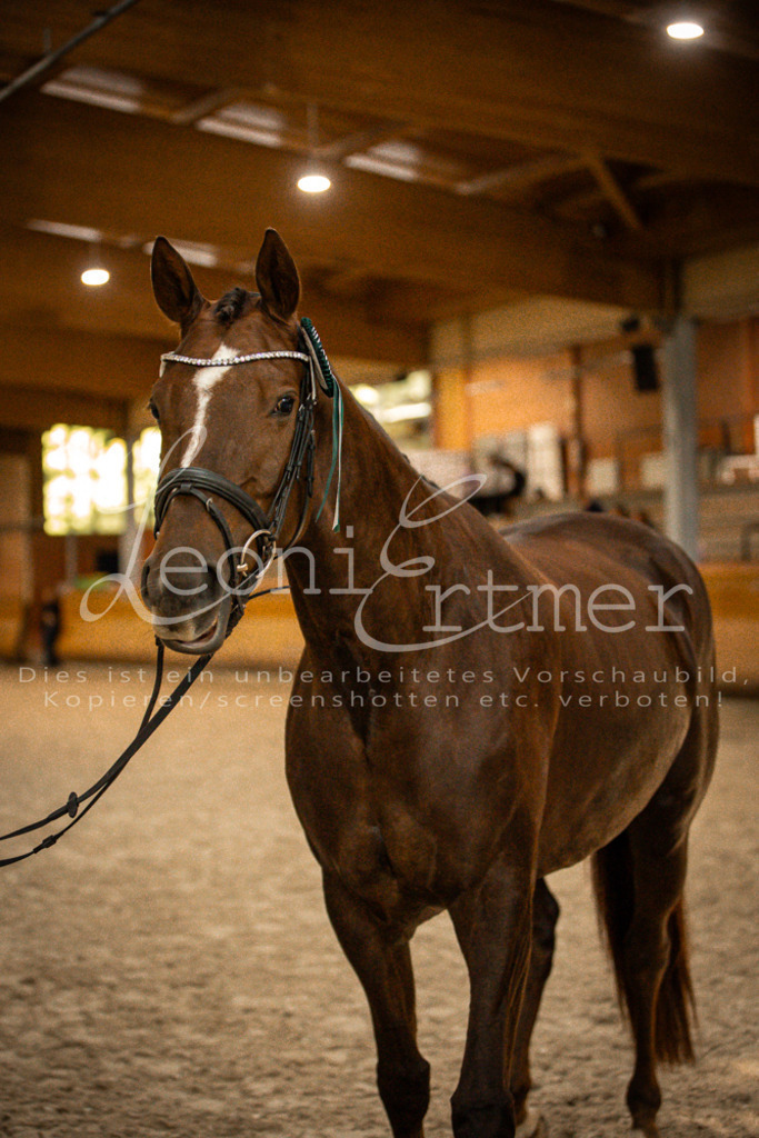 2Schritt00042 | Leoni Ertmer Photography - Realisiert mit Pictrs.com