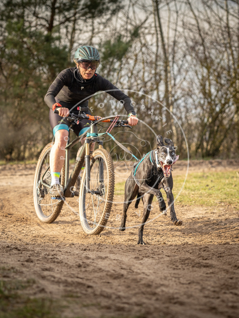 Pfotenfotografie_DV3A7341 | Hundefotografie, Tierfotograf, Pfotenfotografie, Fotoshooting Hund, Hunde Portrait, Hundesport, Hundeportraits, Heideshooting, Hunde, Sportfotograf, Hundefotograf, Turnierhundsport, THS,  - Realisiert mit Pictrs.com