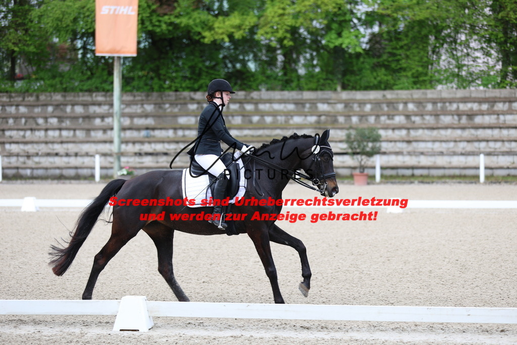 A40A9950 | lmwpictures - Realisiert mit Pictrs.com