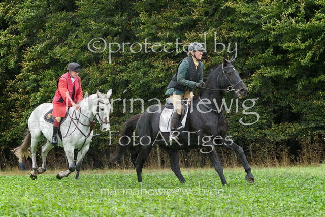 Jagd Perdoel_MarinaHewigMCH04003 | Fotografie, FotoArt, PferdesportArt, Pferdesportfotografie, Landschaftsfotografie, Reisefotografie, Reise, Pferde - Realisiert mit Pictrs.com