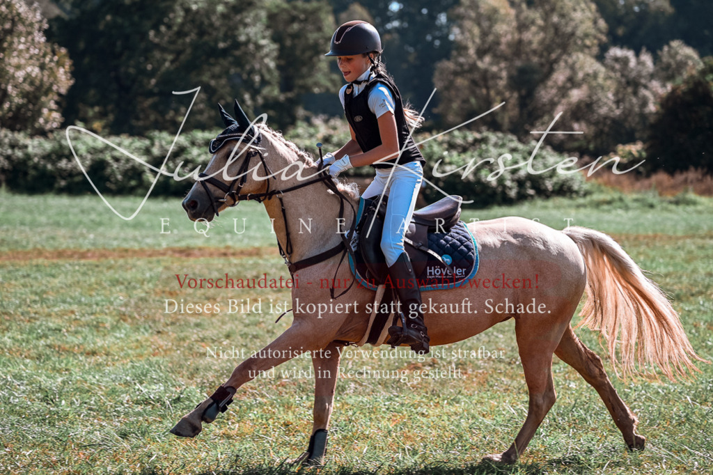 DSC_1054 | Pferde- und Turnierfotografie in Westsachsen. Pferdeportraits, Auftragszeichnungen und intuitive Kunst.