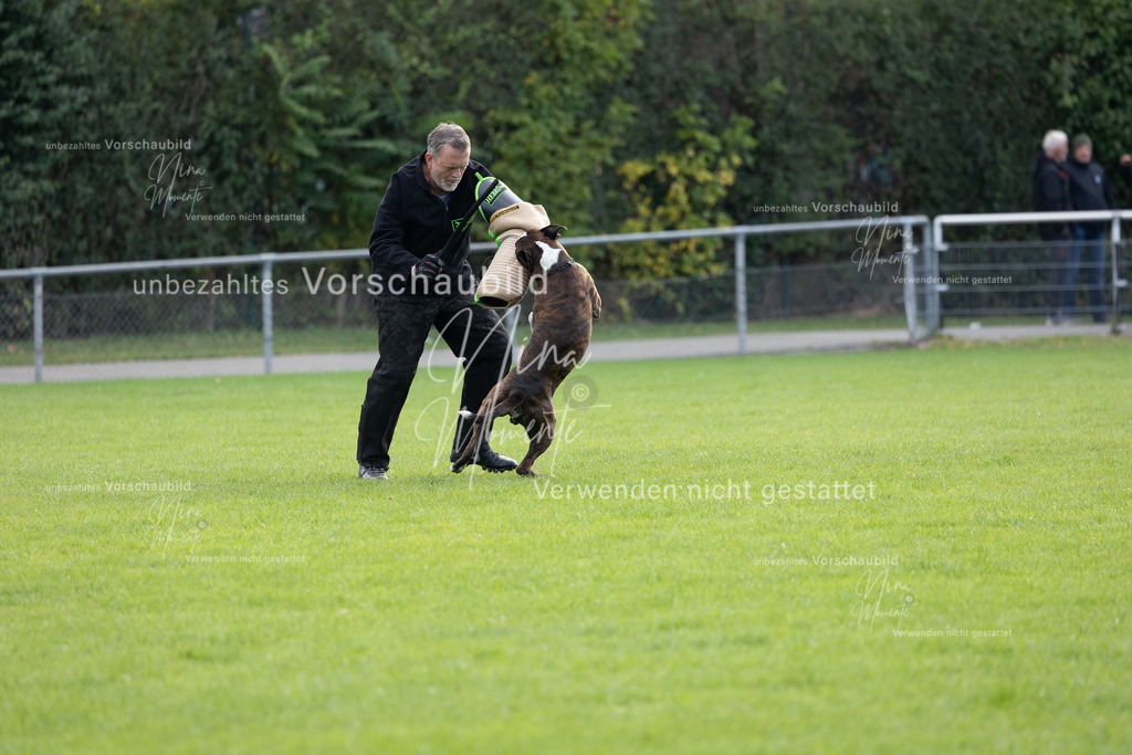 _16A6539 | Einzigartige Fotos von Hunden & Menschen –Actionfotos, Portraits, Vereinsaufnahmen & Paarshootings – authentisch, lebendig & mit Herz.