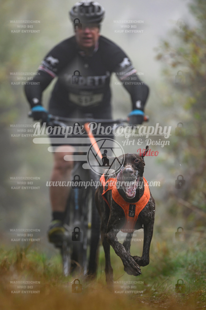 MompixPhotography_20TSB_E4_Bike-132 | PayLife
