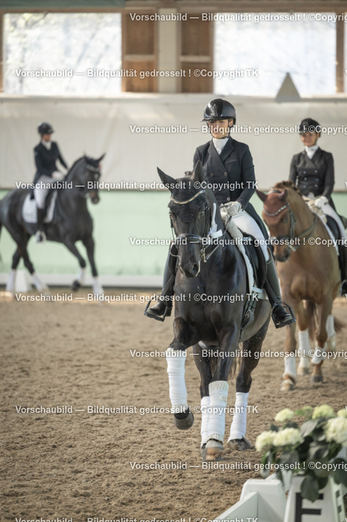 _D5A2537 | Emotionale Pferde- & People-Fotografie rund um Heidelberg, Leimen & Umgebung. Natürliche Fotos von Pferd, Mensch & Familie. Jetzt Termin sichern!