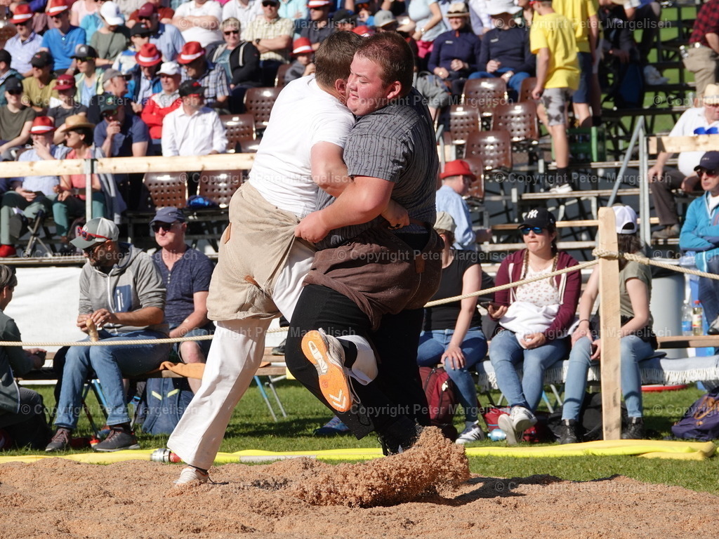 DSC07370 | Schwingen - Realisiert mit Pictrs.com