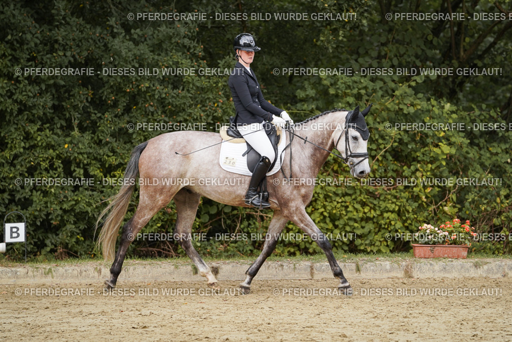 DSC00699 | Pferdegrafie